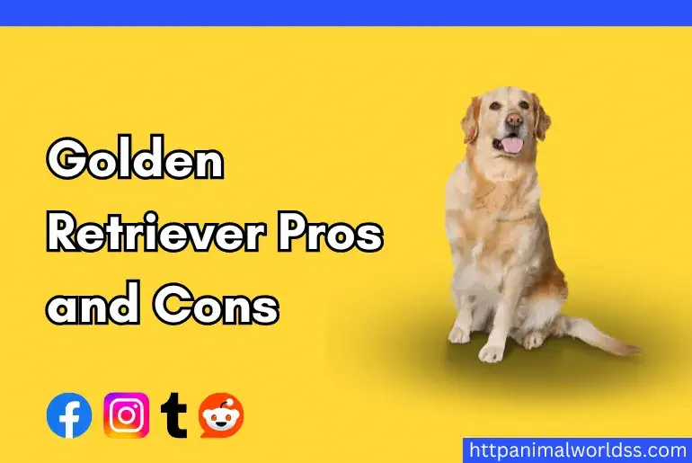 Golden Retriever Pros and Cons