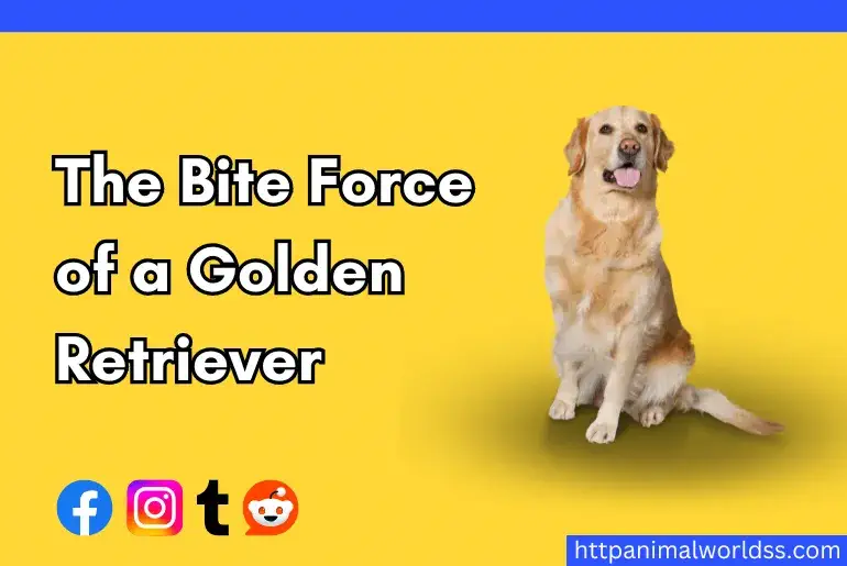The Bite Force of a Golden Retriever